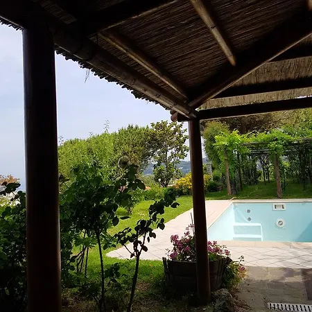 Mirto Con Piscina