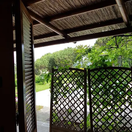 Mirto Con Piscina